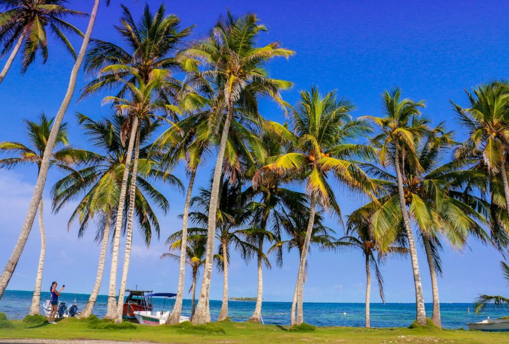 This is the testing package of holiday package